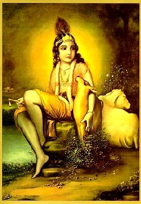 Gopala-Krishna - o encantador menino pastor de vacas com um bezerro...